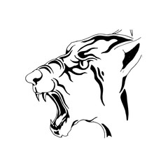 head of tiger