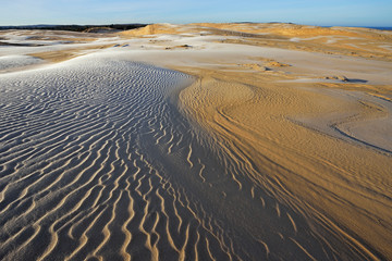 Winter landscape of the Silver Lake Sand Dunes, Silver Lake State Park, Michigan, USA