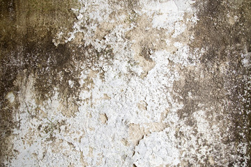Old wall with damp and peeling paint