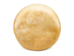 head of round delicious cheese on white