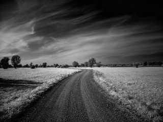 infrared