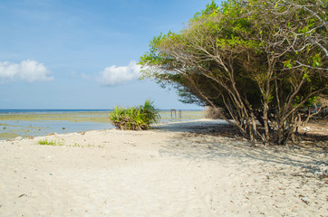 Gili Trawangan. Beautiful beach