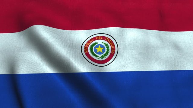 Paraguay flag waving in the wind. National flag Republic of Paraguay