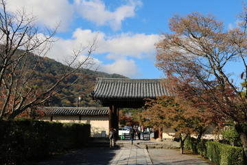 Fototapeta premium Kyoto, Japan