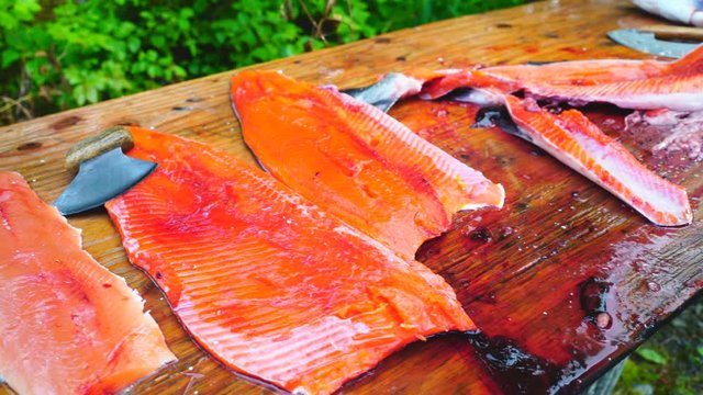 Inuit Ulu Knife cleaning salmon in Alaska