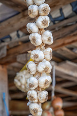 A close view of the handmade hanging bunch bundle of the garlic