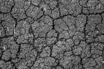 Dry cracked soil texture and background. Grunge soil background. Black and white