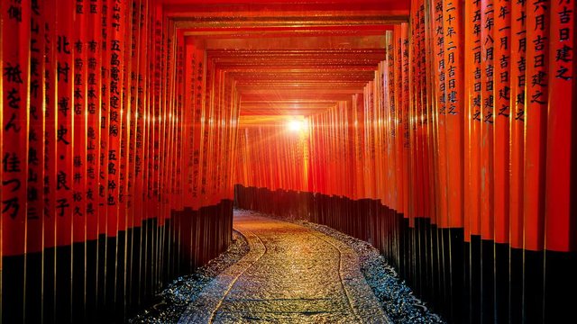 The red torii gates walkway at fushimi inari taisha shrine in Kyoto, Japan.