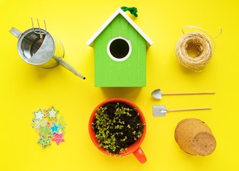 Green birdhouse, sprouts of mini green in cup, twine, watering can and wood shavings on yellow. Ready for planting season.