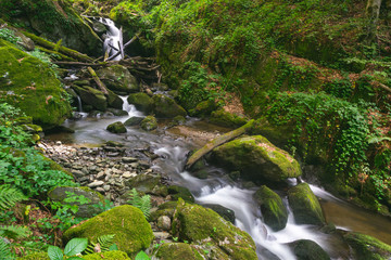 Fototapeta na wymiar Landscape of forest waterfall