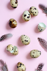 Quail eggs on a pastel pink background