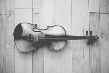 Violine