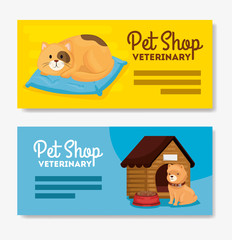 set poster of pet shop veterinary with cat and dog