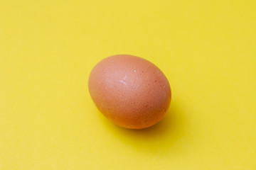 one brown chicken egg on a yellow background