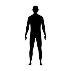 Front view human body silhouette of an adult male