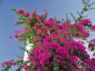 tunisia desert