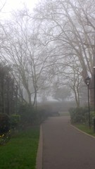 road in fog