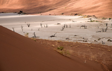 Fototapeta na wymiar Weite und Stille- Wüstenlandschaft in Namibia
