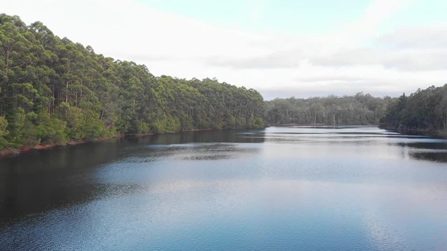 Lake surrounded by Australian eucalyptus trees. Low aerial slide