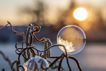Gefrorene Seifenblasen, frozen bubbles