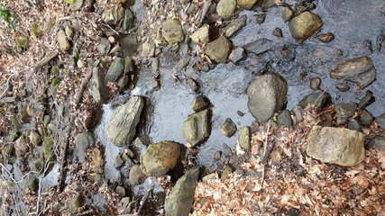 Stones in the Early Spring Stream