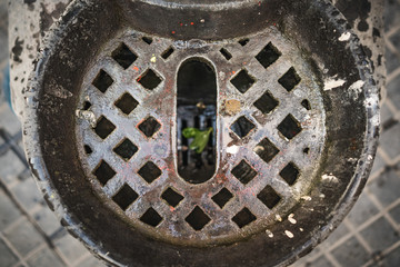 Basin of an old drinking fountain