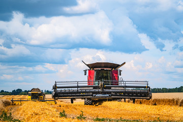 Combine harvester harvest ripe wheat on a farm. Wheat field against a blue sky