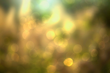 Abstract background of soft golden bokeh 