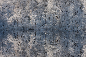 Snow flocked trees on the shoreline of Hall Lake with mirrored reflections in calm water, Yankee Springs State Park, Michigan, USA