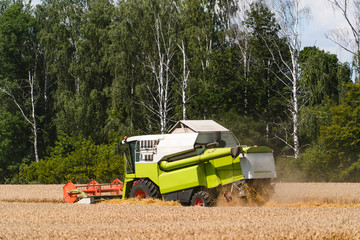 combine harvester working on a wheat field