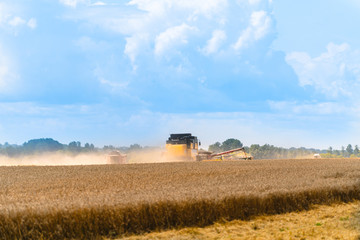 Naklejka premium Grain harvesting equipment in the field. Harvest time. Agricultural sector