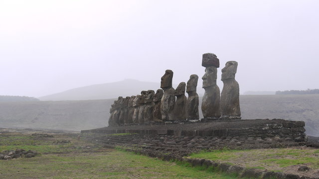 Protectors