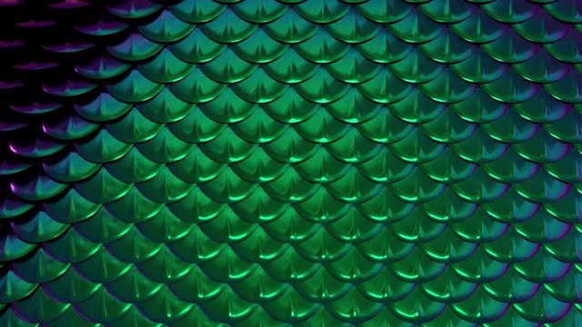 Dragon, mermaid, fish holographik scale background motion animation 3d.  4k seamless loop.