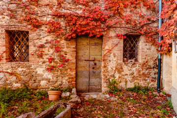 Fototapeta na wymiar window with ivy in ancient building