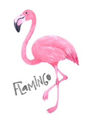 Watercolor hand-drawn pink flamingo.