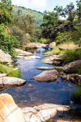 mountain stream in the Magaliesberg Mountain Range