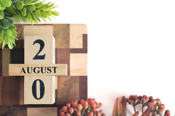 August 20, Cover calendar design in natural concept.
