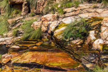Mountain stream in the Magaliesberg Mountain range