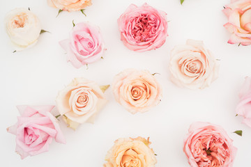 Feminine flatlay with pastel color roses on white background