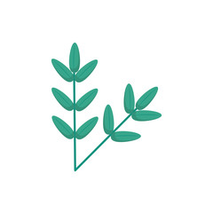 Fototapeta premium Isolated natural leaves vector design