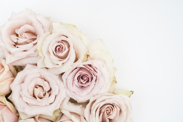 Fototapeta na wymiar Mocha roses floral flat lay on white background