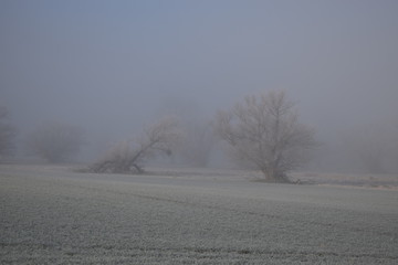 gefrorener Nebel über der Eifel