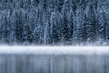 Landscape morning fog on the lake of Two Jack Lake