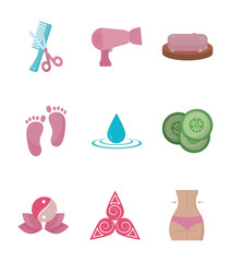 Isolated spa center icon set vector design