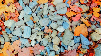 colorful background of stones for wallpaper