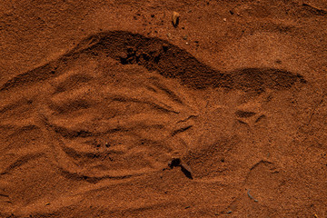 shoe prints in the sand