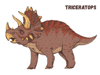 Triceratops dinosaur hand drawn. Vector illustration. Herbivorous dinosaur