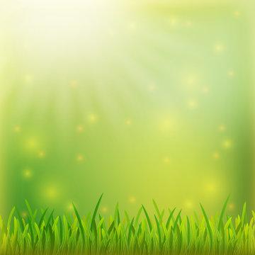 Spring is coming. Green grass background. sunrise soft nature background . for advertising products background. EPS 10