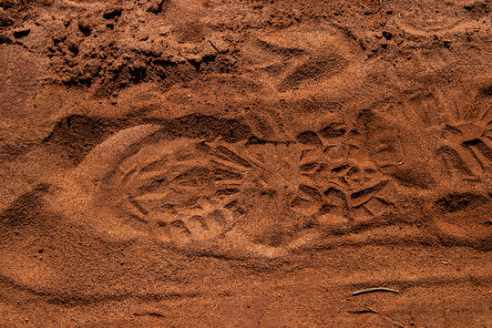 shoe prints in the sand