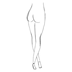 Women body. Vector illustration